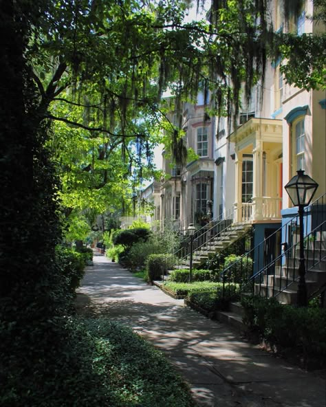 Savannah Book Core, Southern College Aesthetic, Georgia State Aesthetic, Savannah Ga Aesthetic, Georgia Usa Aesthetic, Savannah Georgia Houses, Georgia Aesthetic State, Savannah Core Aesthetic, Georgiacore Aesthetic