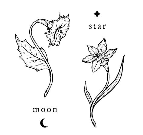 star and moon flowers matching but different tattoo designs Matching Fern Tattoos, Matching Tattoos Star And Moon, Flowers Matching Tattoo, Flowers Stars Tattoo, Moon Star Matching Tattoos, Moon Star Flower Tattoo, Mix And Match Tattoo, Flowers With Moon Tattoo, Matching Earthy Tattoos