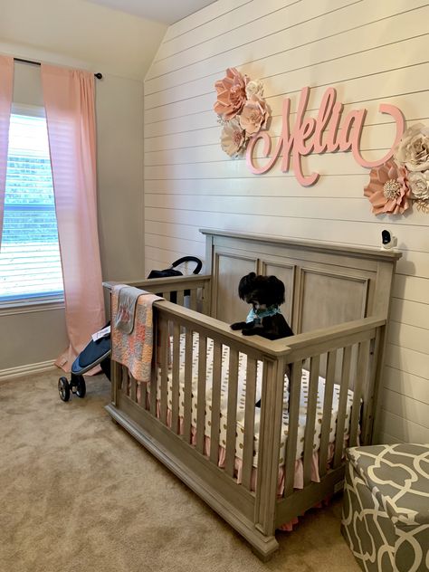 Shiplap nursery with customs wood name Pink Shiplap Wall Nursery, Pink Shiplap Wall, Pink Accent Wall Nursery, Nursery Accent Wall Ideas, Kids Boho Room, Shiplap Nursery, Pink Accent Walls, Nursery Color Scheme, Nursery Color