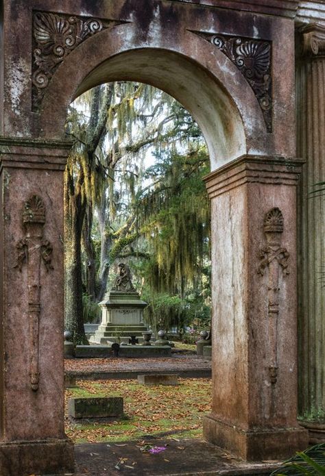 Cemetery Photography, Bonaventure Cemetery, Visit Savannah, Cemetery Art, Southern Gothic, Tybee Island, Gothic Aesthetic, Son In Law, Most Haunted