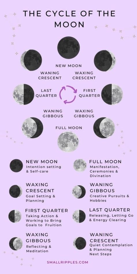 Moon Phases Meaning, Cycle Of The Moon, Lunar Witch, Moon Meaning, Lunar Magic, The Moon Phases, The Phases Of The Moon, Wiccan Magic, Moon Journal