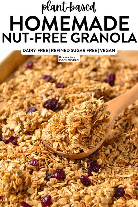 Nut Free Granola Homemade Granola Nut Free, Nut Free Granola Recipe, Breakfast Cereal Recipes, Granola Brands, Nut Free Granola, Protein Granola, Pea Protein Powder, Protein Balls Recipes, Sugar Free Vegan