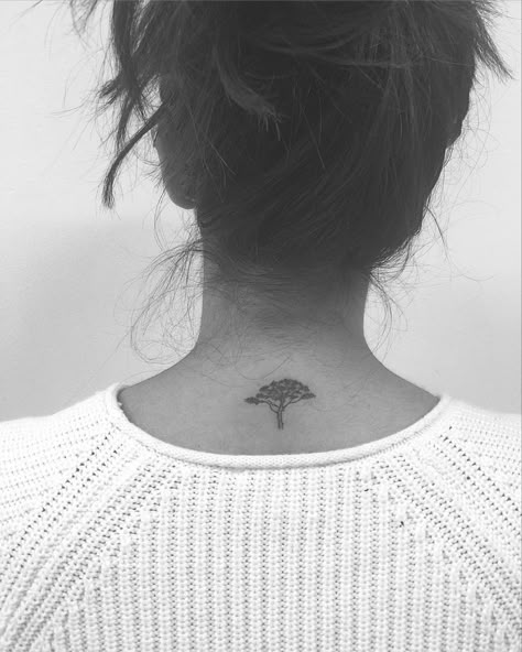 Acacia Tree Tattoo, Acacia Tattoo, Jonboy Tattoo, Africa Tattoos, African Tattoo, Tree Tattoo Designs, Acacia Tree, Greek Tattoos, Tree Of Life Tattoo