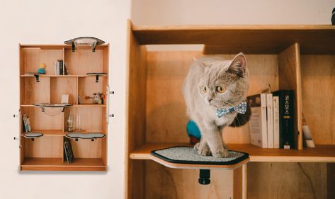 Turn Any Bookshelf Into a Stylish Cat Tower with CatKick Stylish Cat Tower, Cat Climbing Tower, Cat Houses Indoor, Climbing Tower, Cat Window Perch, Modern Cat Tree, Cat Steps, Cat Perch, Cat Window