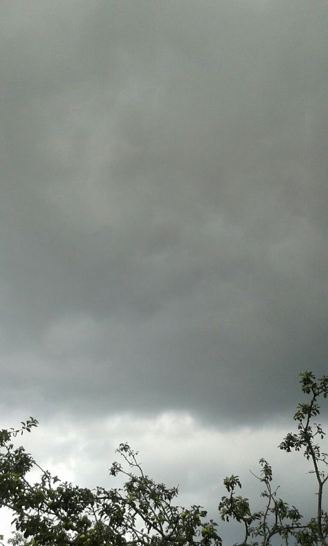 Cloudy sky,clouds,rain,rainy,storm,trees,leaves,grey,grey clouds Rainy Sky Photography, Pretty Cloudy Sky, Cloudy Rainy Sky, Rainy Clouds Photography, Cloudy Rainy Sky Aesthetic, Weather Cloudy, Sky Rain, Cloudy Skies, Rainy Skies