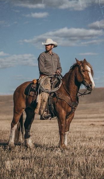 Horse Portrait Photography, Indigo Ridge, Cowboy Photography, Cowboy Pictures, Cowboy Aesthetic, Real Cowboys, Western Photography, Country Senior Pictures, Photography Shoot