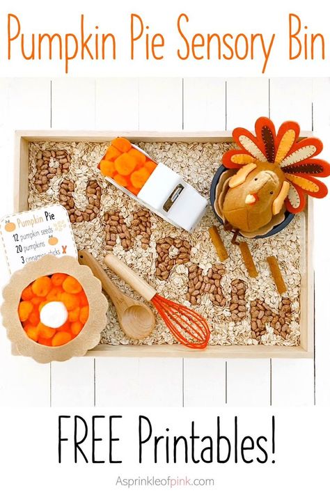 Thanksgiving Sensory Bin, Pie Sensory Bin, Thanksgiving Sensory, Pumpkin Lessons, Pumpkins Preschool, Pumpkins Kindergarten, Sensory Bin Play, Fall Sensory Bin, Toddler Sensory Bins