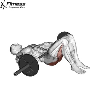 Barbell Glute Bridge, Strong Hips, Barbell Exercises, Tensor Fasciae Latae, Barbell Hip Thrust, Glute Muscles, Hip Exercises, Bridge Workout, Lower Body Muscles