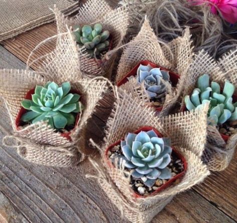 24 Seriously Pretty DIY Flower Pot Ideas - How to Decorate Planters Kaktus Dan Sukulen, Succulent Wedding Favors, Succulent Favors, Diy Flores, Tafel Decor, Fleurs Diy, Succulent Centerpieces, Diy Flower Pots, Succulent Gifts