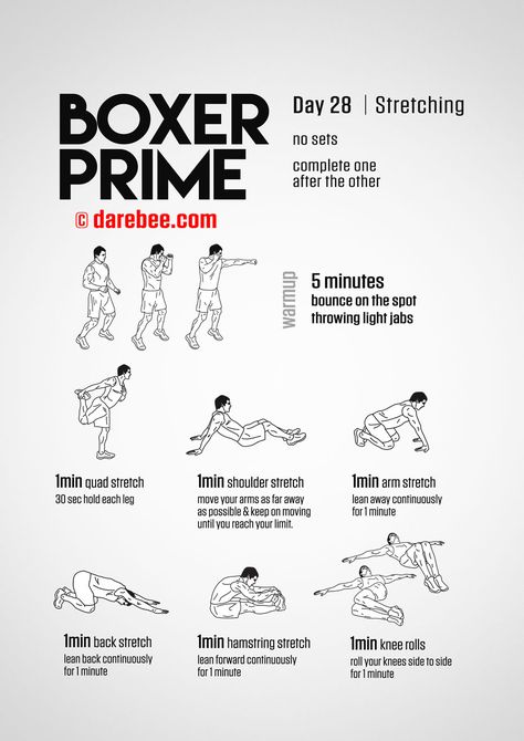 Boxer Prime: 30-Day Fitness Program Boxers Workout Routine, Boxing Stretches, Train Like A Boxer, Boxer Prime, Boxer Workout, Boxing Workout Routine, Home Boxing Workout, Beginners Fitness, Boxing Training Workout