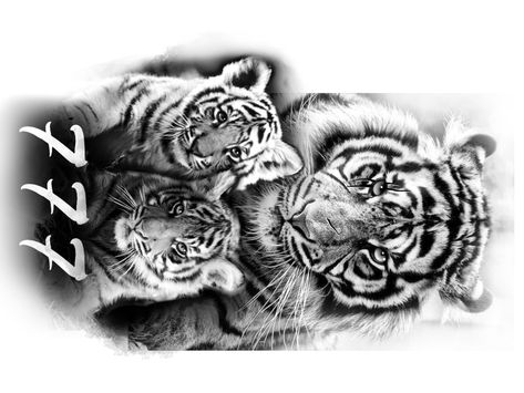 3 Tigers Tattoo, Tiger With Cubs Tattoo, Tiger Cubs Tattoo, Tiger And Cubs Tattoo, Tiger Cub Tattoo, Tiger Face Tattoo, Tiger Head Tattoo, Enough Tattoo, Butterfly With Flowers Tattoo