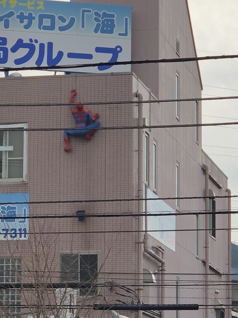 spotted Spider-Man wall crawling this building in Japan Wall Crawling, Manga Poses, Watch Movies Online, Watch Tv Shows, Tv Shows Online, Watch Tv, Watch Movies, Smart Tv, Movies Online