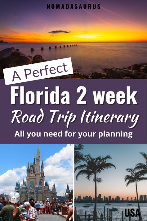 Enjoy my personal favorite 2-week Florida road trip itinerary, based on my experiences of growing up in the state. Hope this article helps your rod trip planning. . Florida Road Trip, Road Trip Florida, Places to see in Florida, Where to go in Florida, What to see in Florida, Florida Road Trip Itinerary, Things to do in Florida Florida Road Trip, Things To Do In Florida, Florida Travel Guide, Backpacking Tips, Wild Adventures, Road Trip Planning, Trip Itinerary, List Ideas, Explore Travel