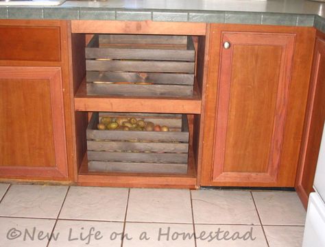 Getting rid of our automatic dishwasher was part of going off grid. Here's a creative way we filled the empty space the old appliance left behind. Dishwasher Space Ideas, Dishwasher Replacement Ideas, Dishwasher Hole Ideas, Dishwasher Cabinet, The Dishwasher, Urban Decor, Diy Tray, Rental House, Front House