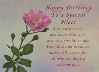 Happy Birthday Niece, Simple Pink rose (1294962) Happy Birthday Twin Sister, Happy Birthday Fiance, Happy Birthday Godmother, Niece Birthday Quotes, Happy Birthday Big Brother, Happy Birthday Little Brother, Happy Birthday Auntie, Birthday Niece, Happy Birthday Niece