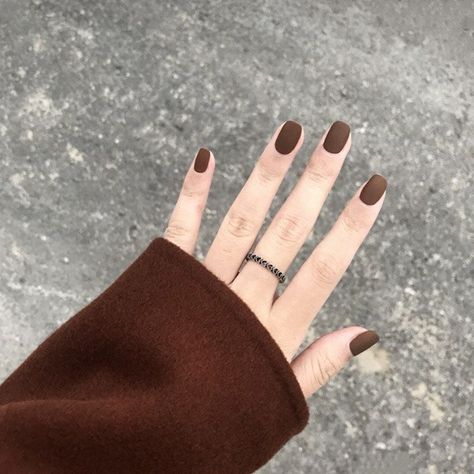 Brown Nail, Nails Tips, Fake Nails With Glue, Nail Swag, روتين العناية بالبشرة, Fake Nail, Brown Nails, Classy Nails, Pretty Acrylic Nails