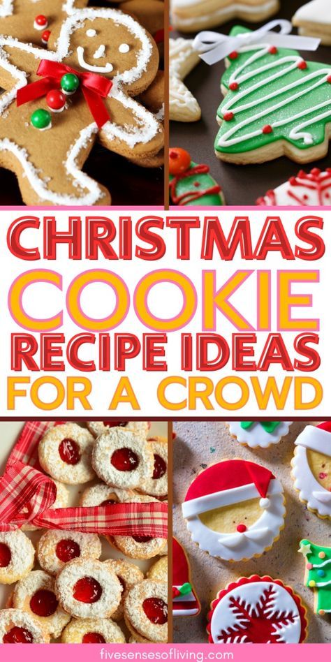 Indulge in the festive flavors of the season with these irresistible cookie recipes for Christmas! From classic Christmas cookie recipes to different types of Christmas cookies that add variety to your holiday baking, there's something for everyone. Discover soft Christmas sprinkle cookies that melt in your mouth, fancy cookies that impress, and flavorful Xmas baked goods that bring joy to your celebrations. Whether you're making cookies for Christmas gifts or just to enjoy with loved ones, these recipes will make your holiday baking extra special. Christmas Cookies To Win A Contest, Christmas Cookies For A Crowd, Cookies For Christmas Gifts, Christmas Cookies Recipes Holiday Xmas, Christmas Baking Recipes Cookies, Soft Christmas Cookies, Cookie Recipes For Christmas, Christmas Sprinkle Cookies, Yummy Christmas Cookies