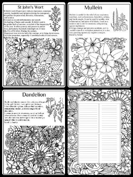 BOS Wicca Essential Oils Magic, Wicca Herbal Magic, incense and oils, Wiccan Book, Wicca Book Witch Herbs List, Protection Herbs, Healing Witch, Herb Magick, Magic Protection, Wiccan Books, Printable Coloring Pages For Adults, Herbs List, Witch Coloring Pages