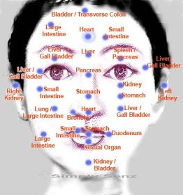 Simply Senz: Outer Beauty is Inner Organs Balancing Doterra Acne, Facial Reflexology, Meridian Points, Face Mapping Acne, Body Toxins, Reflexology Chart, Face Mapping, Facial Yoga, Shiatsu Massage