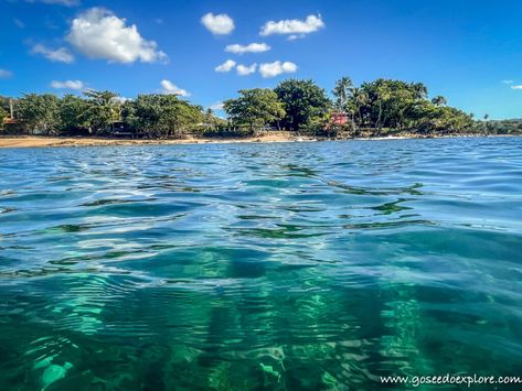 Snorkeling Puerto Rico - Go See Do Explore Puerto Rico Snorkeling, Best Places To Snorkel, Michigan Campgrounds, Serenade Of The Seas, Puerto Rican Heritage, Rincon Puerto Rico, Puerto Rico Island, Best Snorkeling, Norwegian Cruise Line