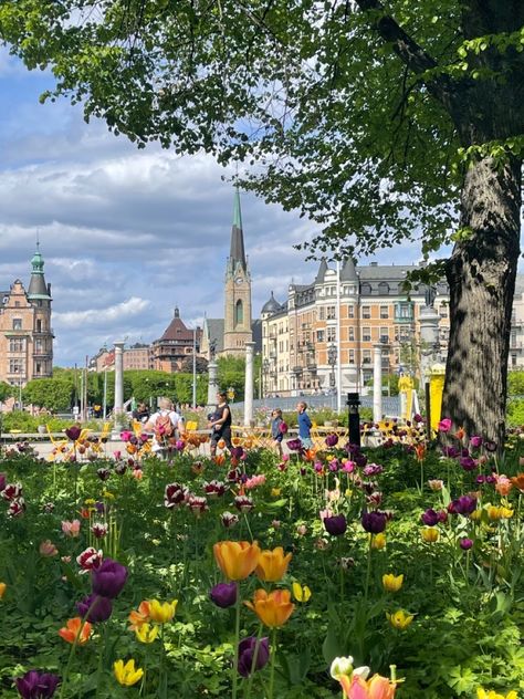 Trip To Sweden, Sweden Travel Summer, Copenhagen In Spring, Spring In Sweden, Stockholm Sweden Summer, Stockholm In Summer, Summer In Stockholm, Living In Sweden, Stockholm Summer Aesthetic