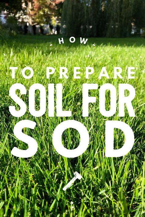 Here's how to get your yard ready to lay sod. Putting down turf grass will go so much better when the soil is properly prepared. Here are the landscaping tips and inside lawn care advice you need to get the ground ready for sod grass. #sod #turf #landscaping #lawn #lawncare How To Lay Sod, Turf Landscaping, Sod Grass, Garden Soil Preparation, Sod Installation, Lawn Fertilizer, Diy Lawn, Lawn Care Tips, Lawn And Landscape