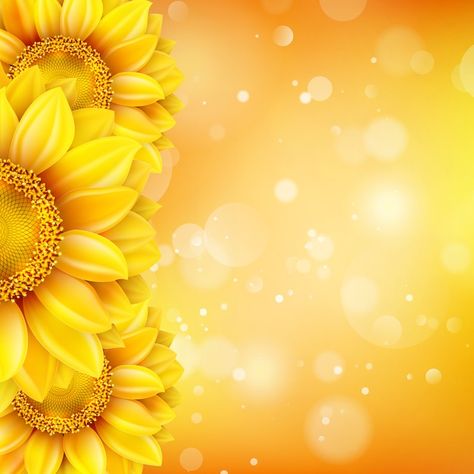 Vector sunflower background with bokeh. | Premium Vector #Freepik #vector #sunflower #yellow-flower #sunflower-background #flower-background Sunflower Frame, Sunflower Background, Phone Backgrounds Tumblr, Beautiful Sunflowers, Photo Maker, Sunflowers Background, Flower Vector, Golden Background, Spring Background