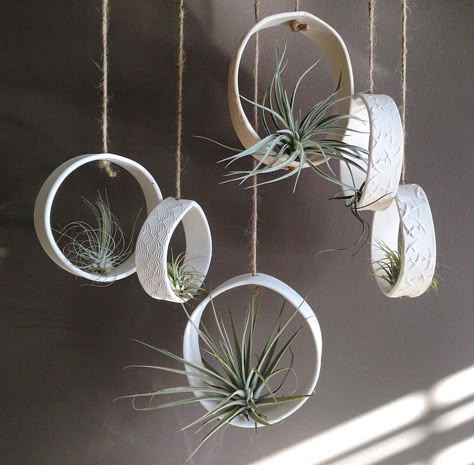 49+ Air Plant Display Ideas That You Will Marvel at in 2022 | Houszed Wooden Air Plant Holder, Air Plant Chandelier, Air Plant Hanging Ideas, Air Dry Clay Air Plant Holder, Air Plants Diy Display, Airplant Displays, Macrame Air Plant Hanger Diy, Hanging Air Plants Diy, Air Plant Holder Diy