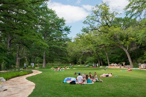 Community Park Design, Bicycle Parking Design, Lake Landscaping, Texas Parks, Relaxing Reading, Bald Cypress, Park Design, Nature School, Interior Design Presentation