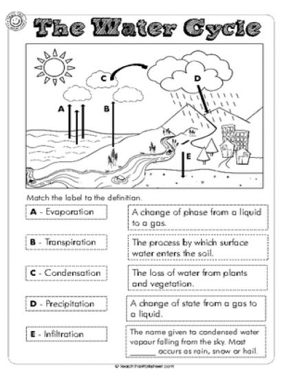 Water Cycle Activities Middle School, The Water Cycle Worksheet, Water Cycle Anchor Chart, Water Cycle Craft, Water Cycle Lessons, Water Cycle Model, Water Cycle For Kids, Water Cycle Poster, Water Cycle Experiment