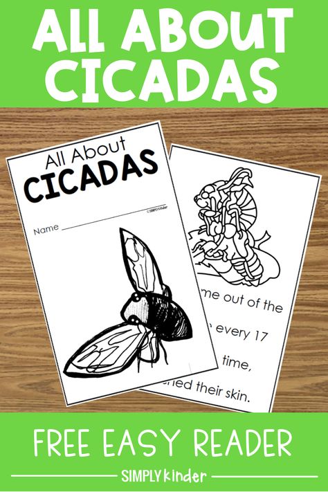 Cicada Preschool Projects, Cicada Crafts For Preschool, Cicada Life Cycle, Cicada Activities For Kids, Cicada Crafts For Kids, Cicada Craft, Tk Ideas, Learning Folder, Summer School Activities