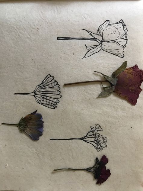 Rose-dry flower-hand drawn Pressed Flower Drawing, Dry Flower Tattoo, Dry Flowers Tattoo, Dried Rose Tattoo, Pressed Flower Tattoo, Dried Flowers Tattoo, Dried Flower Tattoo, Dead Flower Drawing, Book Pressed Flowers