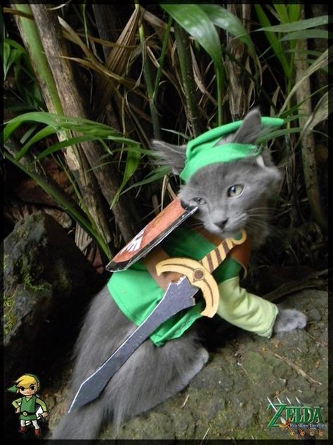 Grumpy Link | The 57 Greatest Pet Costumes EVER Nyc Metro, Gamer Cat, Link Cosplay, Zelda Cosplay, Cat Cosplay, Homemade Halloween Costumes, Cat Halloween Costume, Cat Costume, Cat Halloween