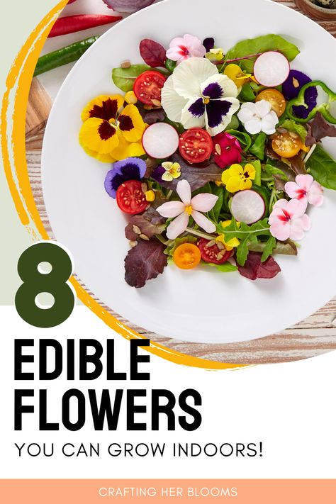 Lots of the time we grow flowers because they are gorgeous and smell nice. But did you know there are some common flowers that are also edible? Check out eight examples of flowers to grow and eat that can also be grown indoors! How To Grow Edible Flowers, Edible Flowers To Grow, How To Grow Dandelions Indoors, Edible Plants To Grow Indoors, Flowers You Can Eat, Hydroponic Kitchen, Indoor Edible Garden, Growing Edible Flowers, Common Flowers