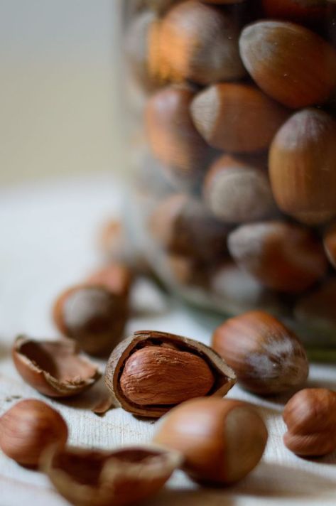 Hazelnut Aesthetic, Hazelnut Milk Recipes, Hazelnut Photography, Nut Photography, Food And Mood, Christmas Nuts, Hazelnut Milk, Best Food Photography, Plant Milk