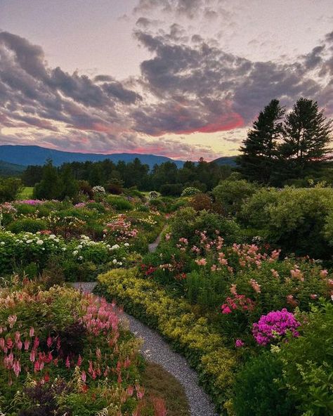 tinyatlas on Instagram: "A sunset meander at @vontrappflowers in the Mad River Valley (have you been to this valley?) in Vermont. Three generations of von Trapps have nurtured this land with Emily von Trapp now taking the helm with a sustainable flower farm. The garden is open to the public for three more weekends this season with ticket sales benefitting Mad River nonprofits. Emily von Trapp and her mother (yes, those von Trapps) cameos in this set, but this garden is officially Emily’s fath Flower River Garden, Mad River Valley Vermont, Emily Season, Emily Place, Spring Season Aesthetic, July Season, Emily Aesthetic, Land Aesthetic, Valley Aesthetic