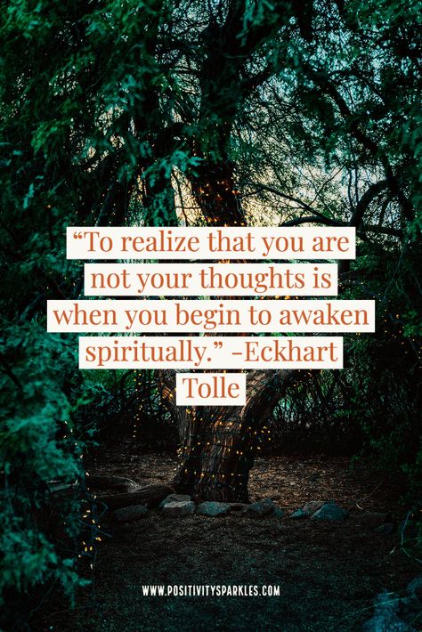 I’ve been doing my best to set reminders on my phone 3x a day to remind myself that I am not my thoughts. No matter where I am, no matter what I am thinking, no matter how I am feeling...CLICK TO READ MORE! #positivity #eckharttolle #eckharttollequotes #spirituality #spiritualquotes #positivethinking #thoughtquotes #positivethinkingquotes #lifequotes #love #spiritual #awakening #consciousness #awakeniningquotes #healing #thinkingquotes #thoughts #bestquotesever I Am Not My Thoughts, Divine Oneness, What Is Consciousness, I Am Quotes, Consciousness Quotes, Awakening Art, Eckhart Tolle Quotes, Spiritual Awakening Quotes, Awakening Consciousness