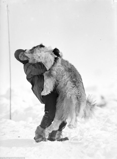 Shackleton Expedition, Joyful Pictures, Polar Expedition, Polar Exploration, Vintage Explorer, Antarctic Expedition, Showing Affection, Arctic Expedition, 4 Drawing