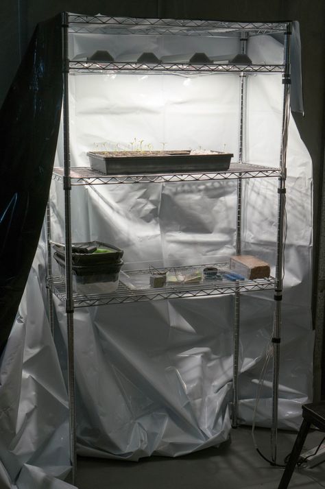 Build a DIY Grow Tent for Under $100 - LED Gardener Diy Grow Tent, Living Wall Diy, Indoor Tents, Diy Balcony, Diy Tent, Tent Material, Grow Boxes, Make A Door, Tent Fabric