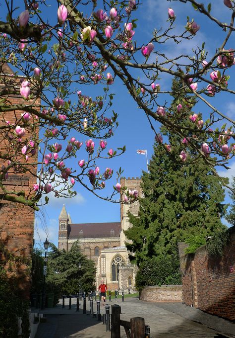 Sumpter Yard, St Albans_ England St Albans, England And Scotland, Village Life, British Isles, Wales England, Holiday Destinations, Beautiful Islands, Scenic Views, Great Britain