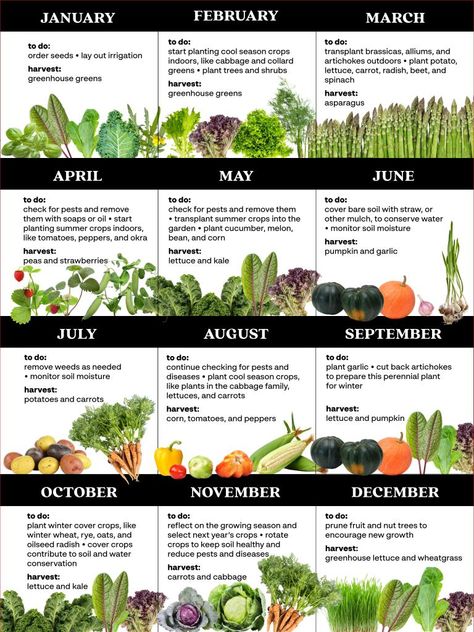 Growing a Kitchen Garden | United States Botanic Garden United States Botanic Garden, Spice Garden, Vegetable Garden Diy, Garden Veggies, Desert Garden, Veg Garden, Healthy Garden, Home Vegetable Garden, Food Garden