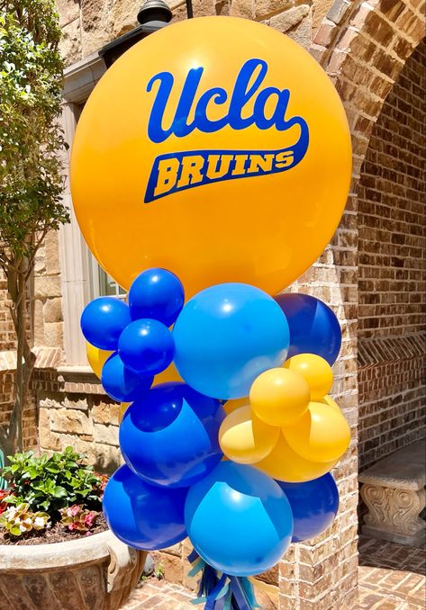 Navy And Yellow Balloon Garland, Ucla Party Decorations, Ucla Graduation Party Ideas, Ucla Party, Ucla Graduation, Blue Yellow Balloons, Yellow And Blue Event Decor, College Event Ideas, College Signing Day