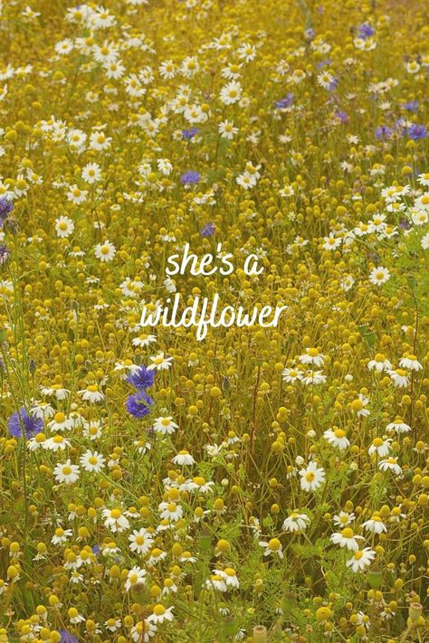 Wildflower Quotes, Spirit Aesthetic, She's A Wildflower, Wild Flower Quotes, Free Spirit Aesthetic, Pretty Phone Wallpaper, Spring Wallpaper, Art Diary, Luxury Aesthetic