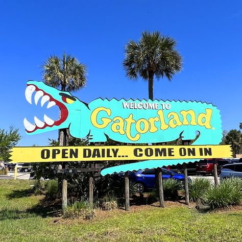 #BoycottFacebook #Florida #Orlando #Gatorland @Gatorland #BriceDailyPhoto Florida Gothic Aesthetic, Orlando Florida Aesthetic, Florida Nostalgia, Orlando Aesthetic, Gatorland Orlando, Baby Branding, Roadside Signs, Missing Home, Florida Orlando