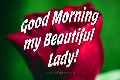 Cute And Romantic Good Morning Messages for Wife Sweet Morning Messages, Good Morning Love Text, Good Morning Handsome Quotes, Morning Message For Him, Romantic Good Morning Quotes, Good Morning Romantic, Romantic Good Morning Messages, Good Morning Handsome, Love Good Morning Quotes