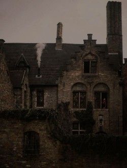 Dark Academy Aesthetic, Darkest Academia, Dark Acadamia, Academia Aesthetics, Royal Aesthetic, Hogwarts Aesthetic, Dark Paradise, Dark Academia Aesthetic, The Secret History