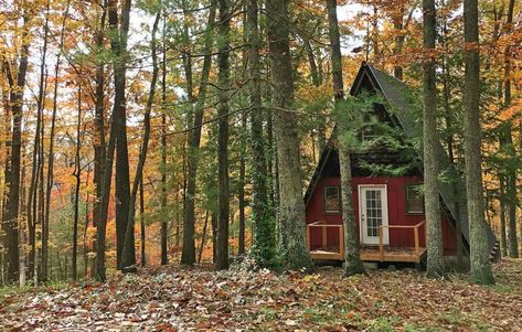 Plan a secluded cabin getaway in Kentucky with a stay at one of these charming spots for less than $200 per night. Lake Cumberland Kentucky, Cumberland Falls, Cabin Getaway, Cave City, Secluded Cabin, Red River Gorge, Lake Cabin, Country Cabin, Getaway Cabins