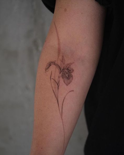 Siberian Iris Tattoo, White Iris Tattoo, Japanese Iris Tattoo, Fine Line Iris Tattoo, Iris Tattoo Design, Tattoos Man, Iris Flower Tattoo, Larkspur Tattoo, Flower Vine Tattoos