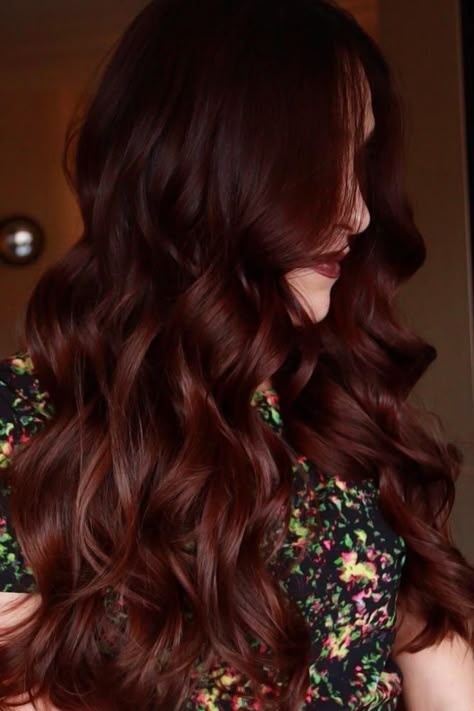 Brown Hair Color Chart, Trendy We Fryzurach, Cherry Brown, Chocolate Hair, Brown Hair Color, Dark Red Hair, Hair Color Chart, Spring Hair Color, Hair Color Auburn