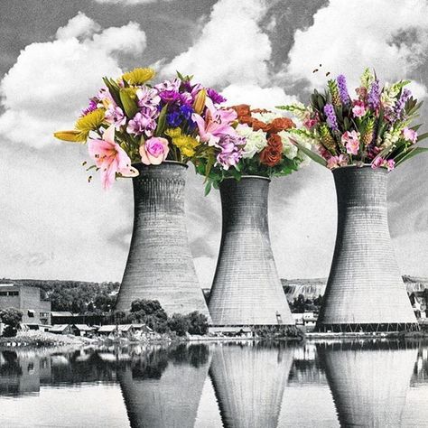 ITISARTIME on Instagram: “Flower Power 💐 @sammyslabbinck #itisartime” Sammy Slabbinck Collage Art, Environment Collage Art, Environment Collage, Sammy Slabbinck, Collage Flowers, Surrealist Collage, Surreal Collage Art, Flowers Growing, Digital Collage Art